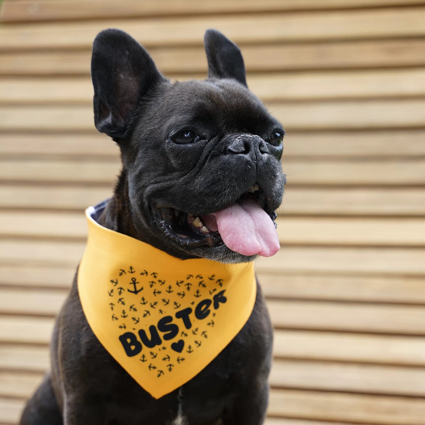 Bandana pour chien blanc avec fermeture