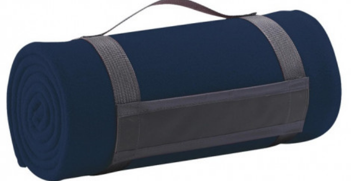 1 PLAID (LOGO ET TEXTE UNIQUEMENT)